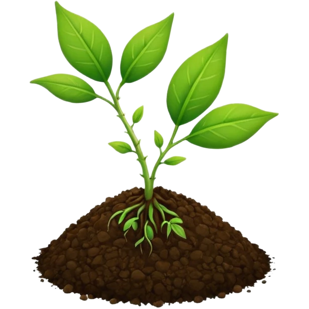 Two leaves sprout with soil ball emoji