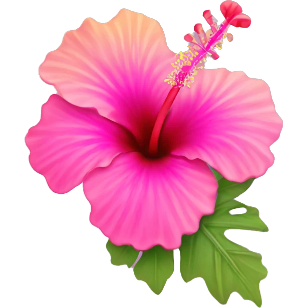 Ombré pink hibiscus flower emoji