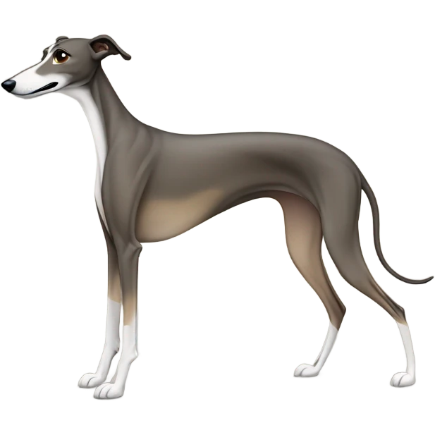 Greyhound emoji