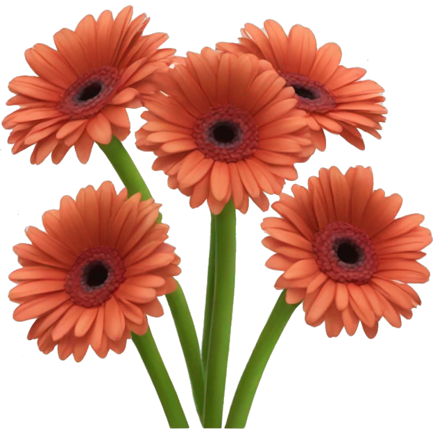 three gerberas emoji