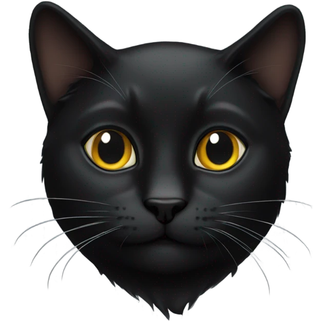 black cat emoji