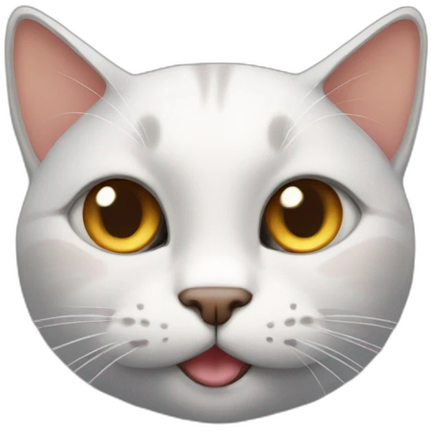 the cat winks with one eye emoji