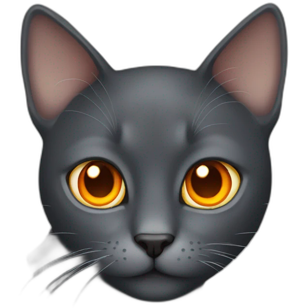 dark grey cat orange eyes emoji