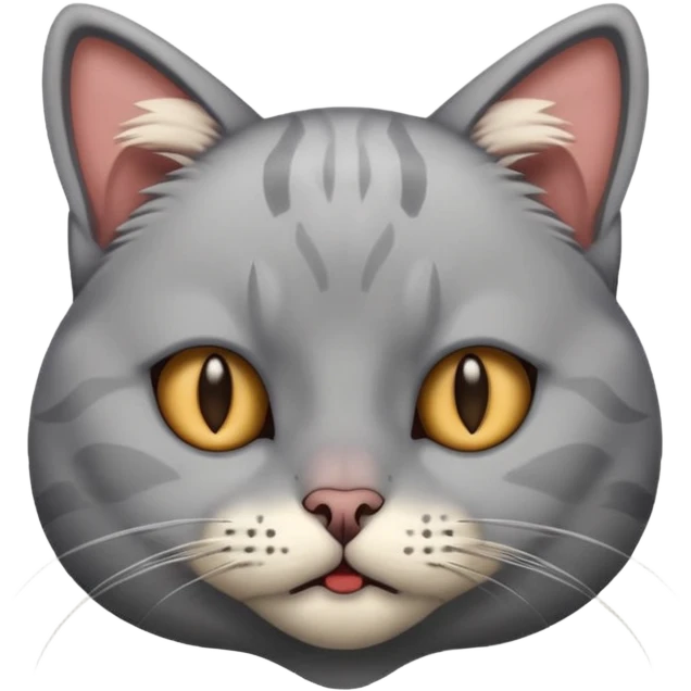 a cat having subdural hematoma emoji