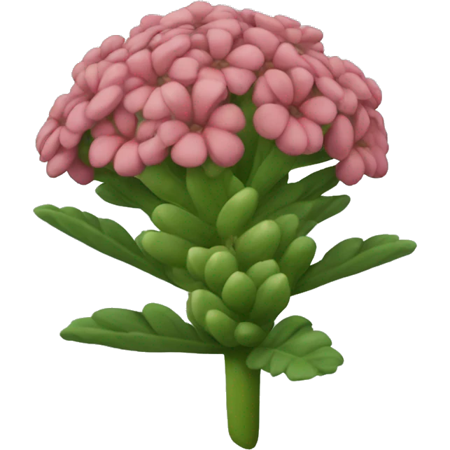 rhodiola emoji