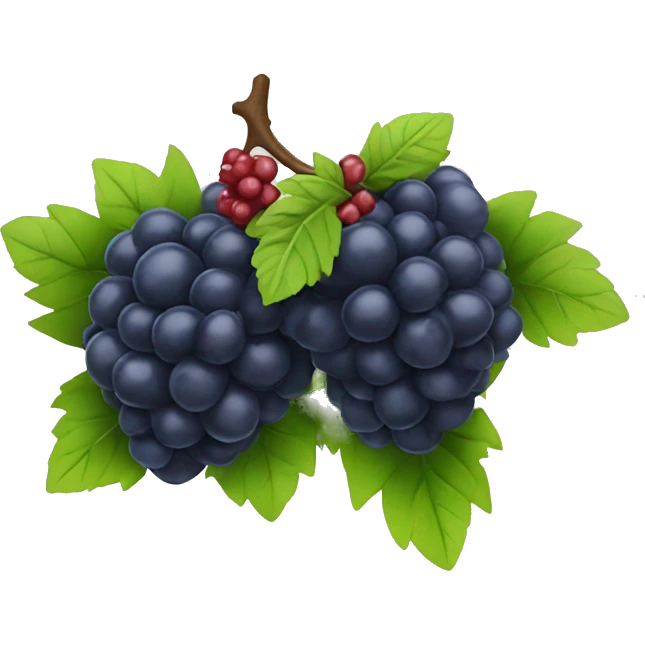 Bramble berries emoji