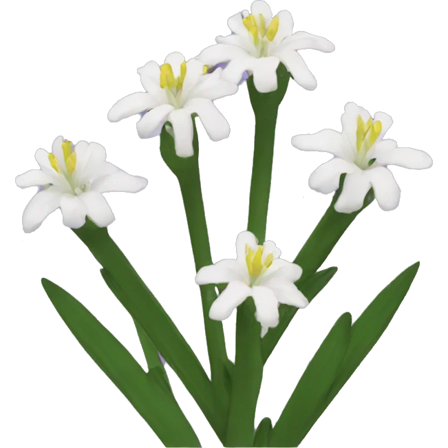 CAMAS emoji
