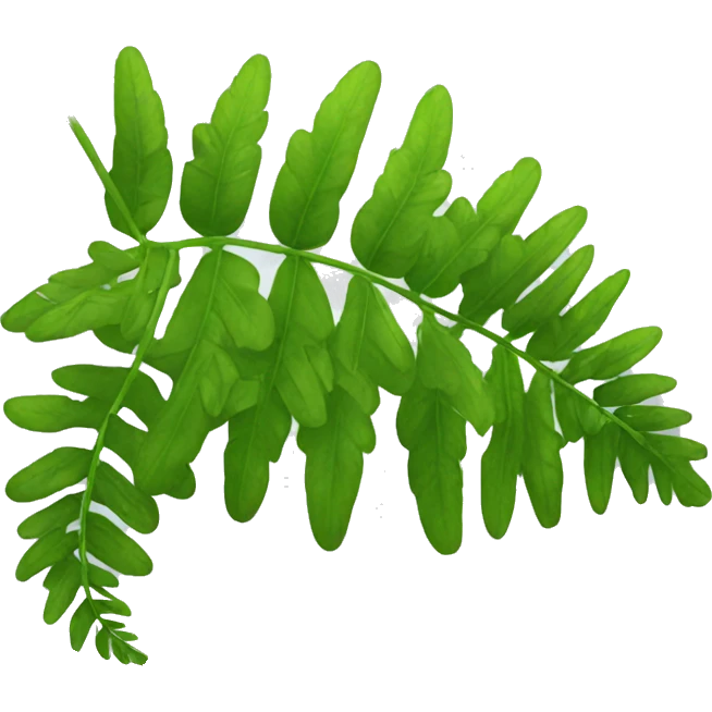 fern drop emoji