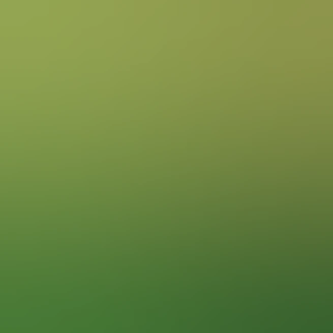 Apple-style 3D emoji of a single green RAM stick, gold connector pins ...