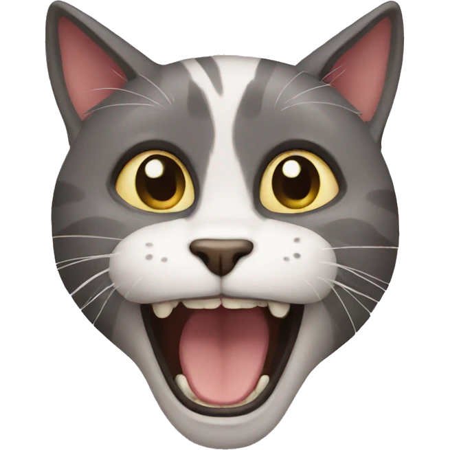 crazy cat emoji