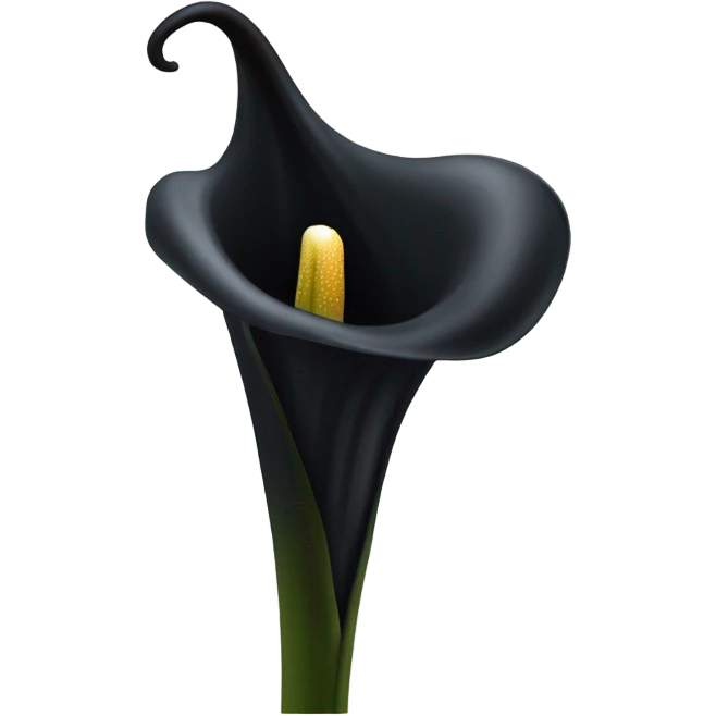 black calla lilly flower emoji