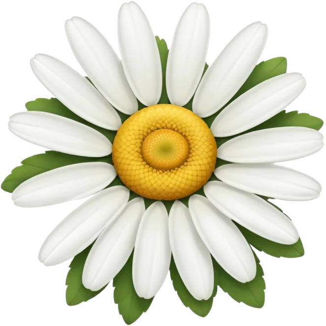 🌼🤍 emoji
