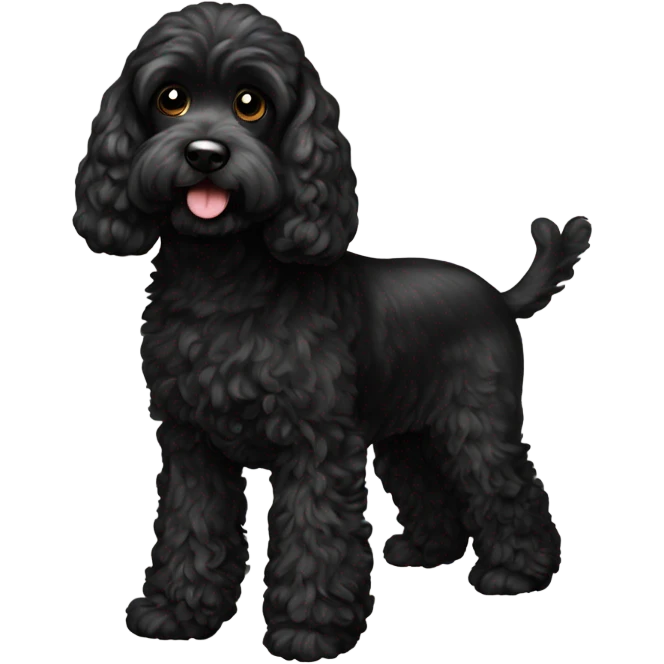 black cockapoo  emoji