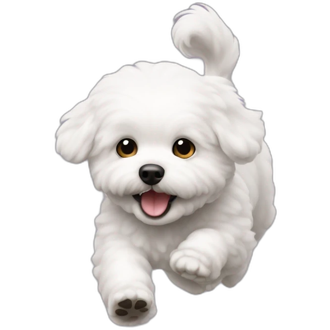 A bichon that comes running in front  emoji