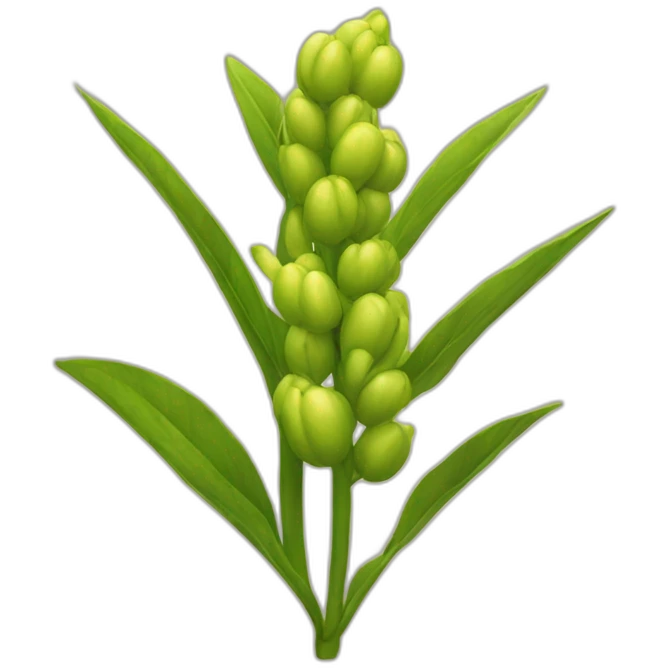 Subcribe-to-Seed emoji