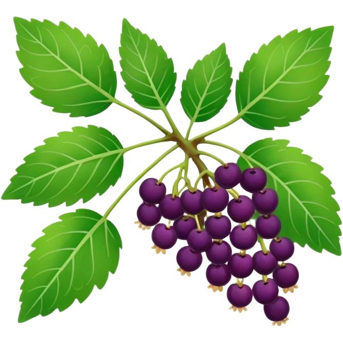 mulberries plant emoji