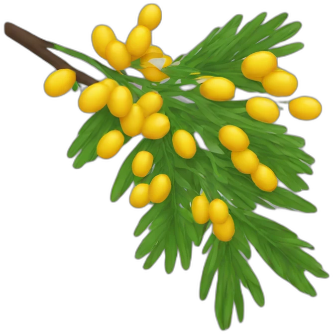 mimosa emoji