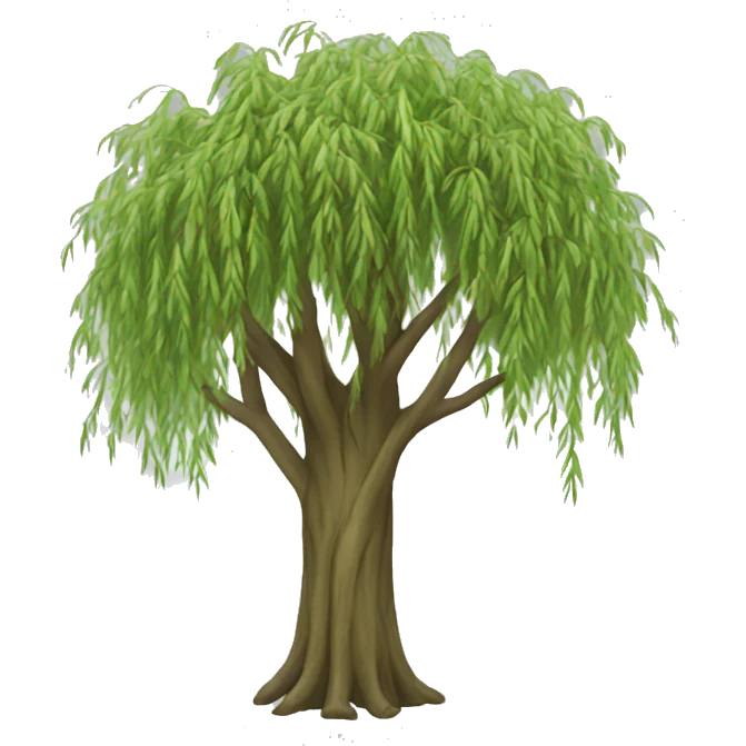 A willow tree  emoji
