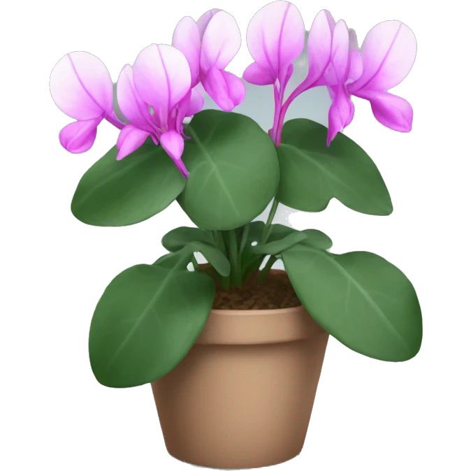 Cyclamen emoji