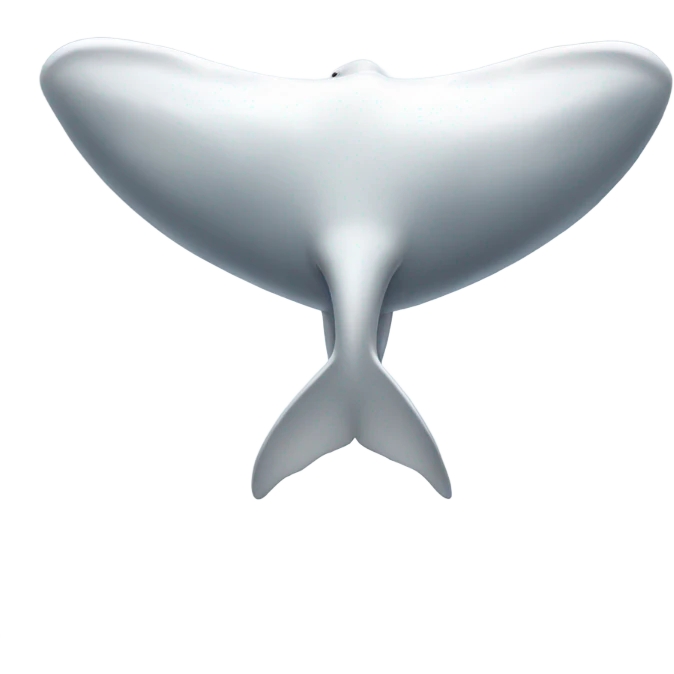 white whale , underside emoji