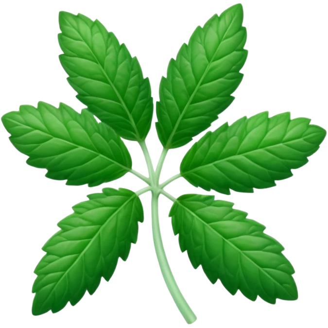 Peppermint (Mentha \(\times \) piperita)  emoji