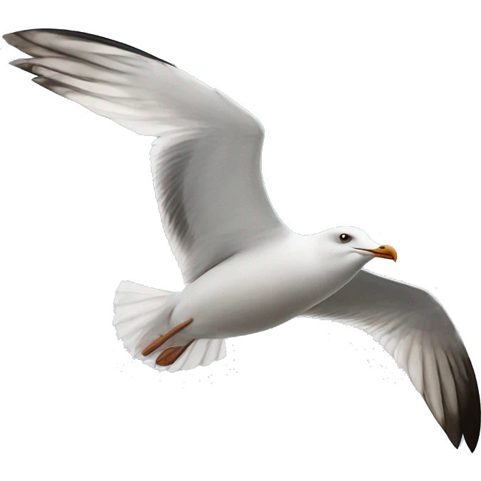 Seagull in flight emoji