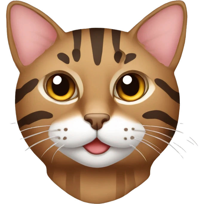 brown tabby cat with stripes and one eye emoji