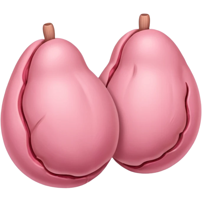 Taşşak emoji