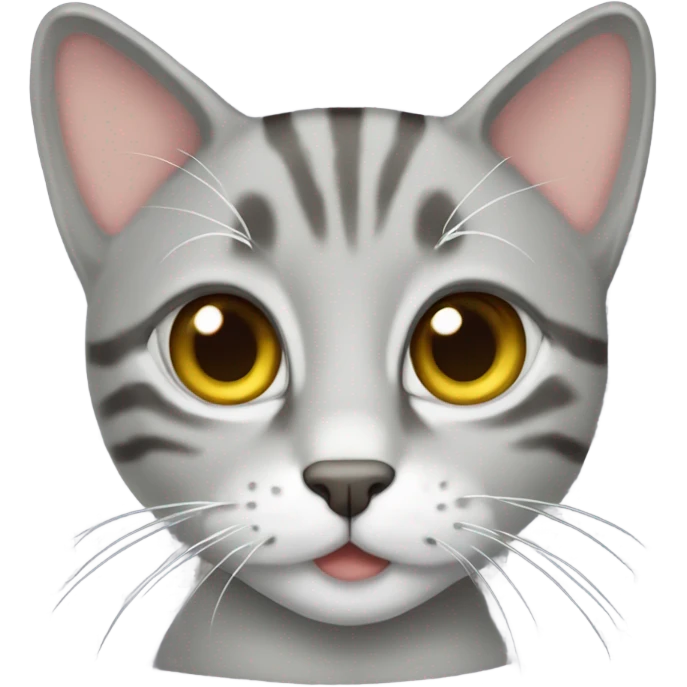 tabby gray cat emoji