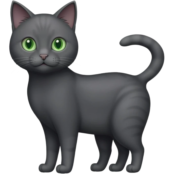 full body solid dark grey cat with green eyes, white paws and white whiskers emoji