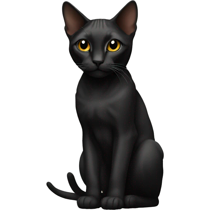 Cat sphinx black  emoji