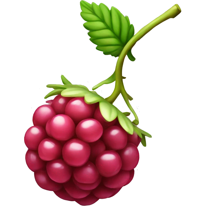 Raspberry  emoji
