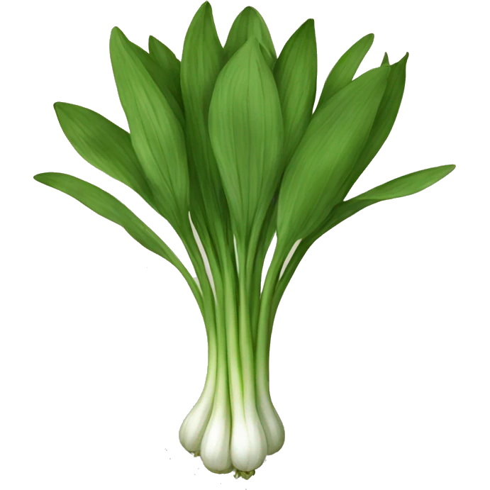 wild garlic emoji