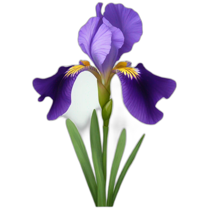iris flower emoji