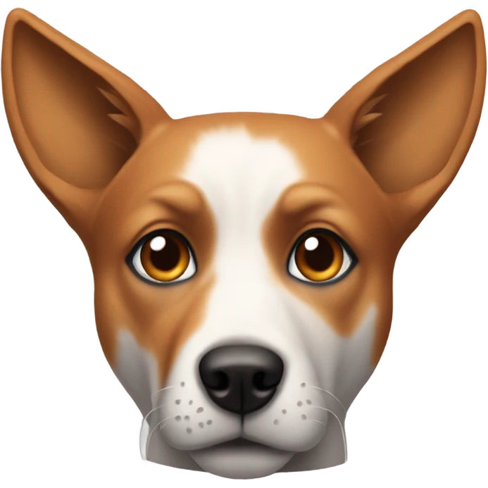 Dog that has ears that looks like a fox's, with one brown and one blue eye and a hoodie put on emoji