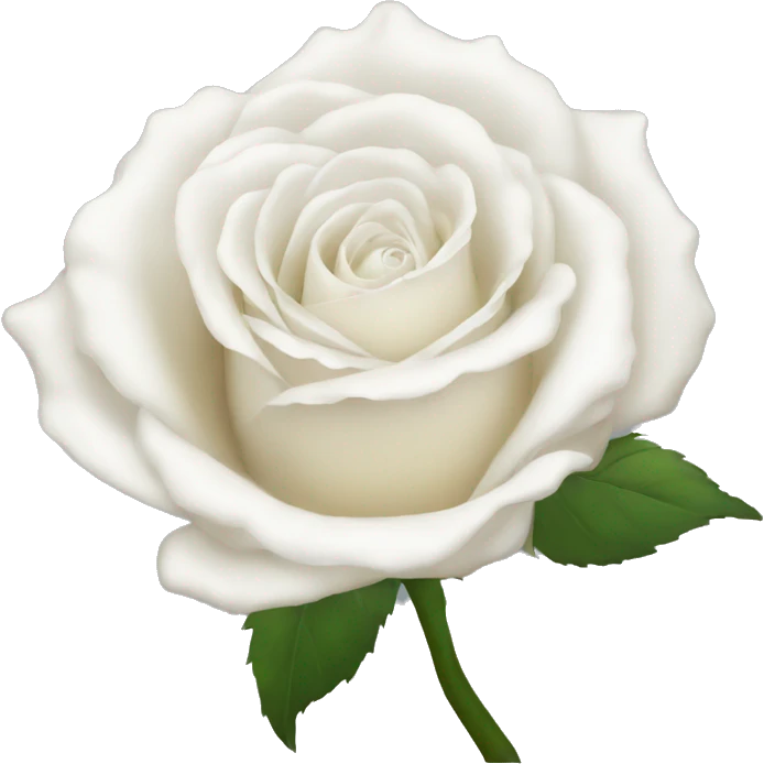 white rose  emoji