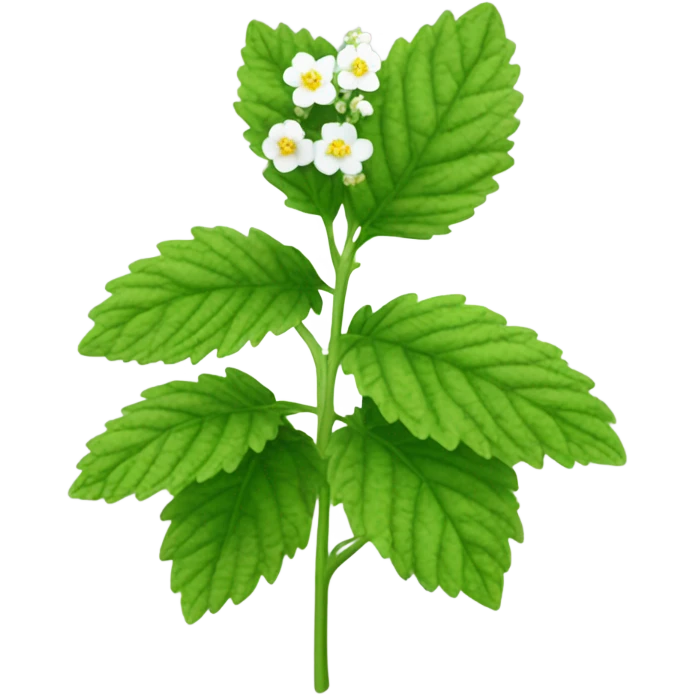 lemon balm emoji