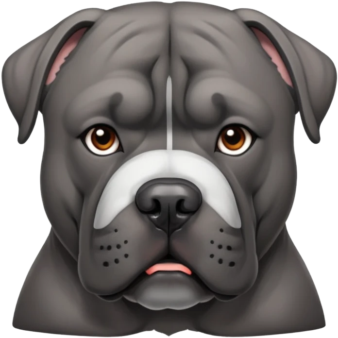 grey cane corso with a white line up on his nose emoji