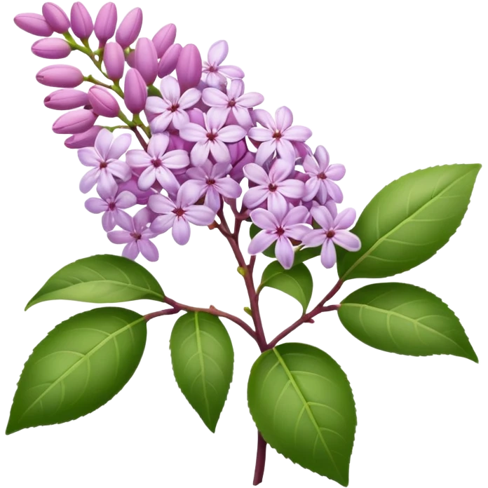 pink lilac emoji