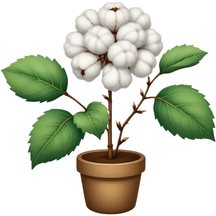 coton bio plant emoji