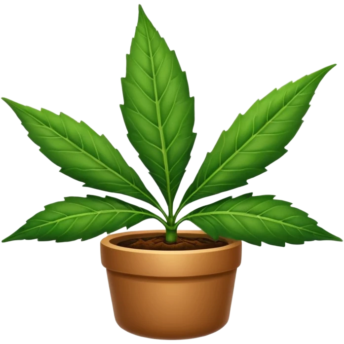 pot leaf emoji