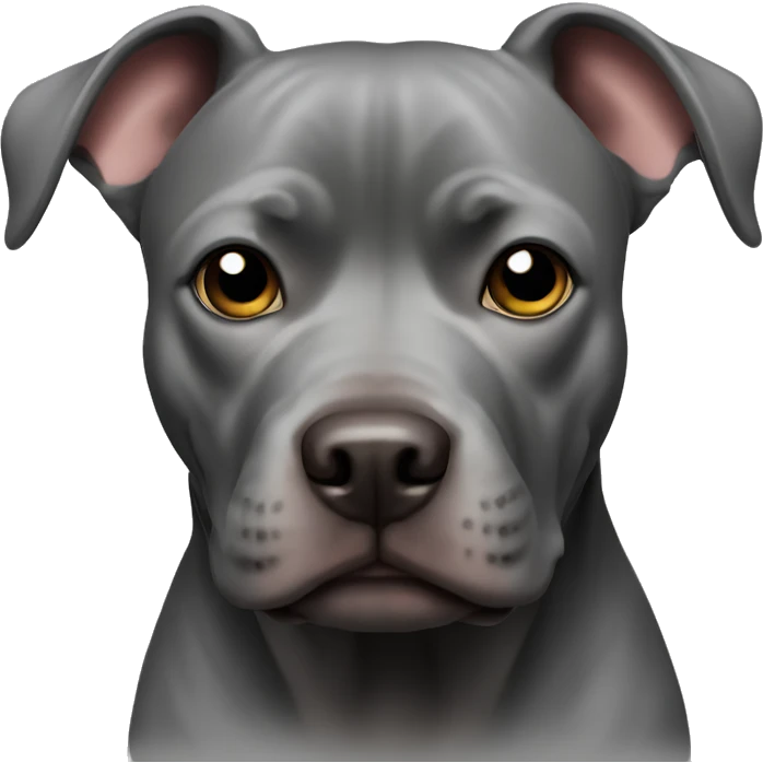 Black Pitbull  emoji