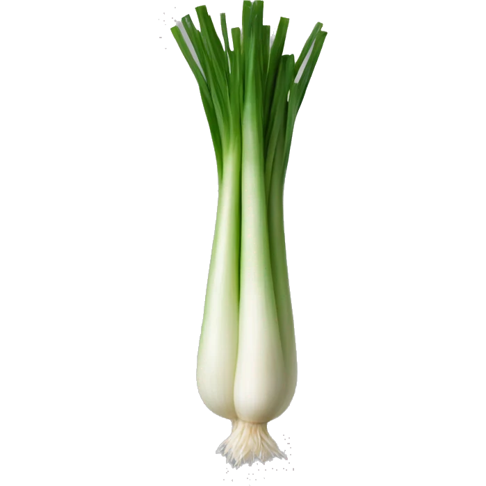 spring onion emoji