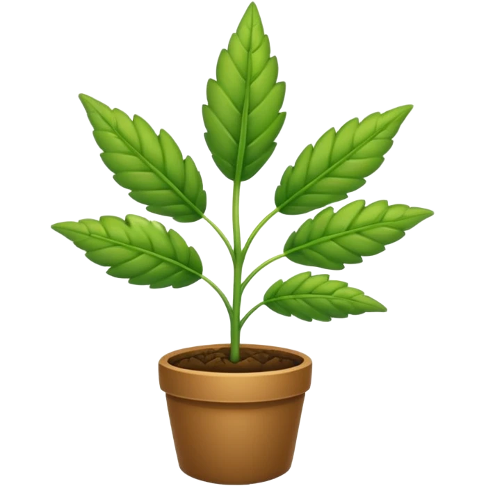 Weed plant  emoji