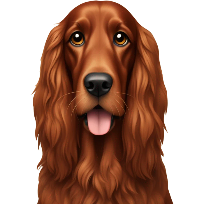 Irish setter emoji