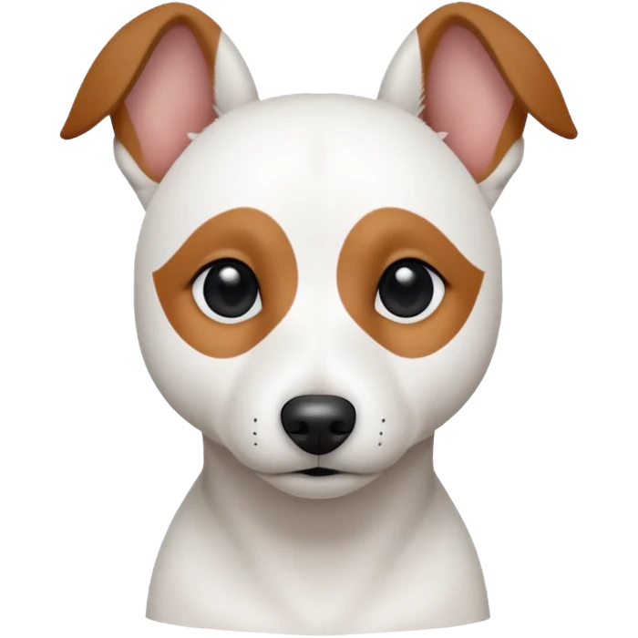 a fully white jack russell the size of a kelpie with a half white face emoji