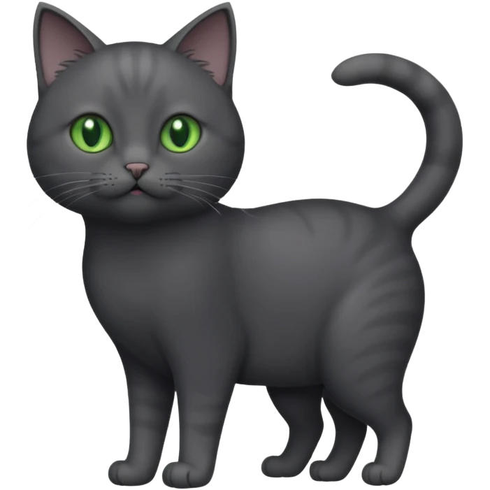 full body gorgeous solid dark grey cat with green eyes, white paws and white whiskers playing emoji