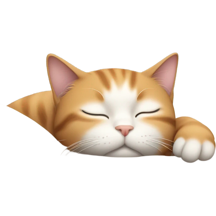 sleeping cat emoji