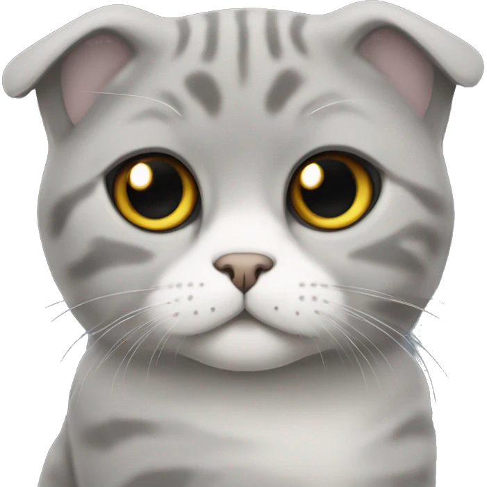 Scottish fold cat is grey  emoji