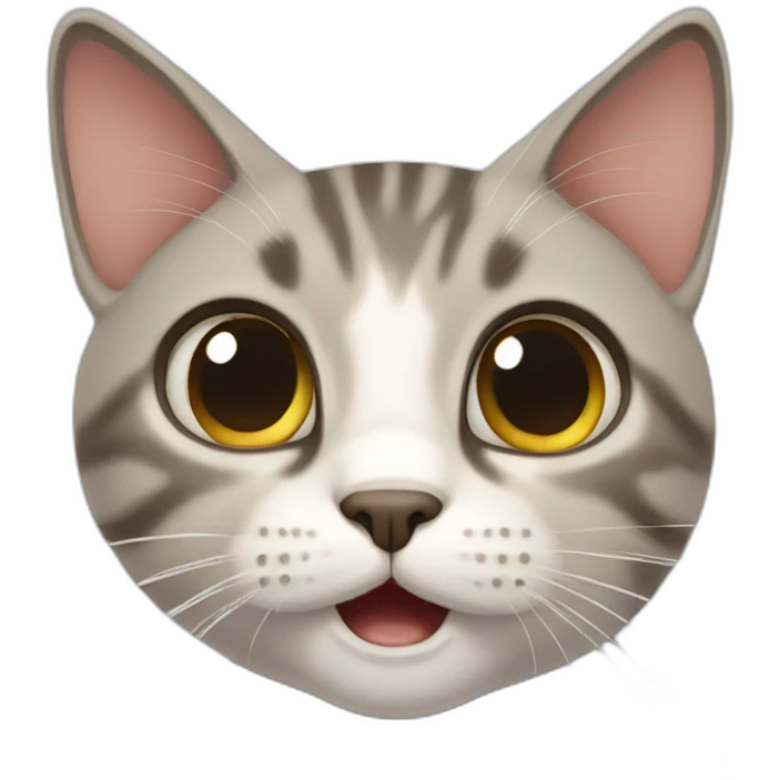 surprised cat emoji
